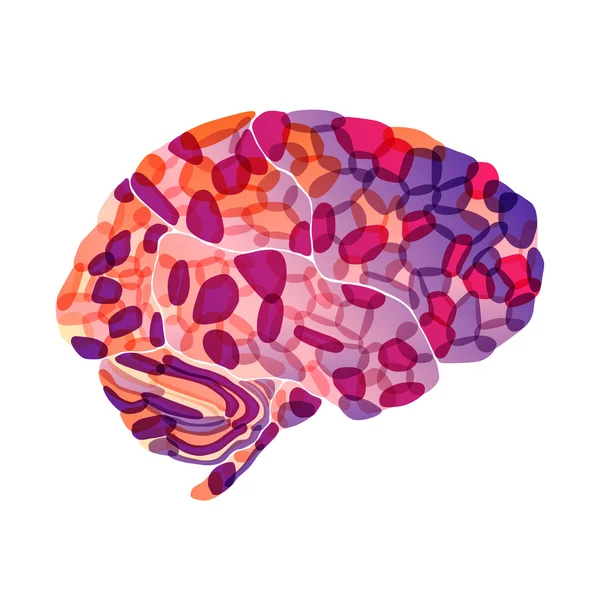 Menselijk brein, paarse fantasie, vector abstracte achtergrond — Stockvector