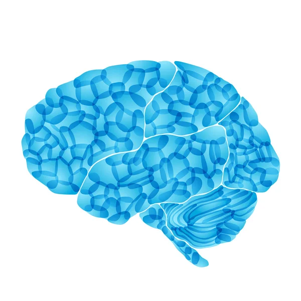 Cerveau humain, fond abstrait vectoriel — Image vectorielle