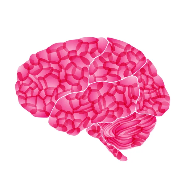 Cerveau humain, rêve rose, fond vectoriel abstrait — Image vectorielle