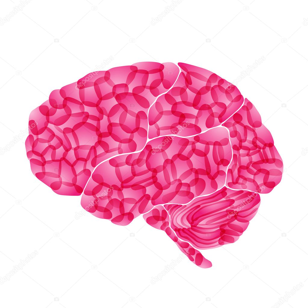 Human brain, pink dream, vector abstract background