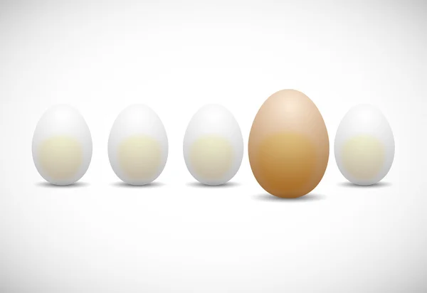 Chicken egg — Stock Vector