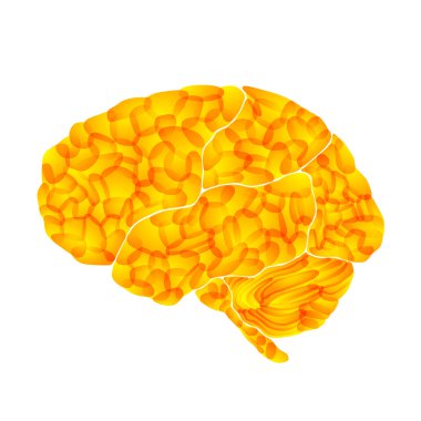 Human brain, yellow marrow, vector abstract background clipart