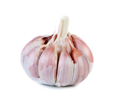 Garlic on white background. clipart