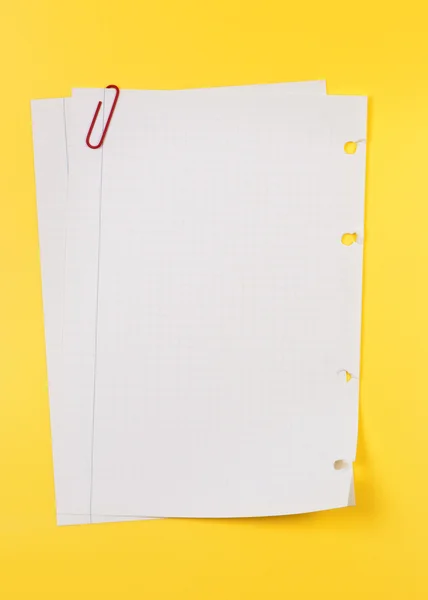 Rasgado de uma folha de caderno mantida unida por clipe de papel . — Fotografia de Stock