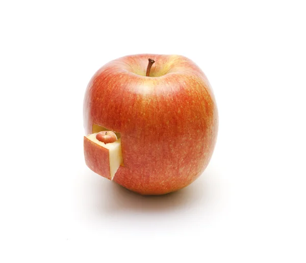 Apfelkomposition. der Apfel in Form eines Falles, in dem liegt — Stockfoto