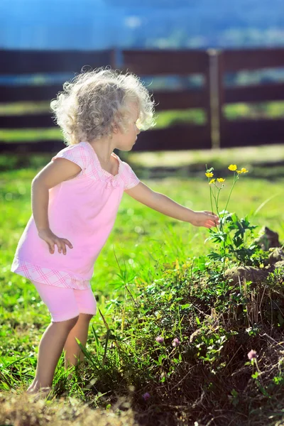 Petite fille mignonne avec des cheveux bouclés blonds cueillette de fleurs sur vert — Photo
