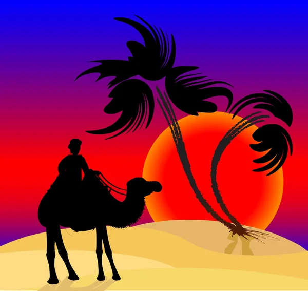 Silueta ilustrace jezdec na velbloudu v poušti — Stockový vektor