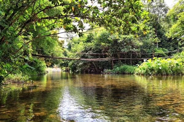 Fluss im Dschungel, Thailand — Stockfoto