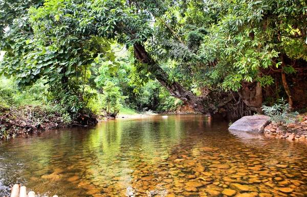 Flod i djungeln, thailand — Stockfoto