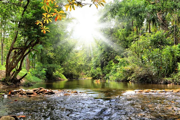 Řeka v džungli, Thajsko — Stock fotografie