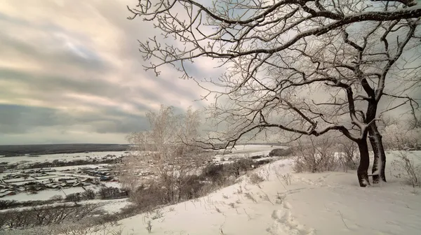 Красивый снежный зимний пейзаж, Россия — стоковое фото