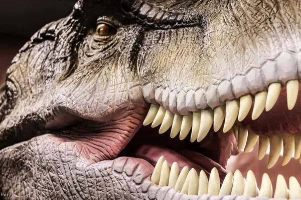 Tyrannosaurus mostra la sua bocca dentata — Foto Stock