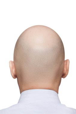 Bald man head clipart