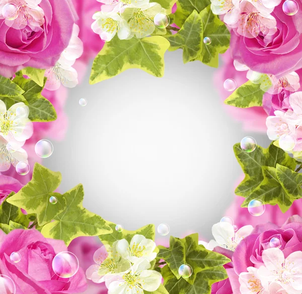 Róże i białe kwiaty — Zdjęcie stockowe
