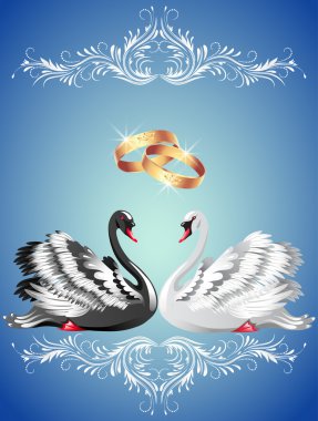Wedding rings and two swans clipart