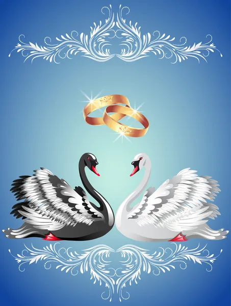Wedding rings and two swans — Stock Vector