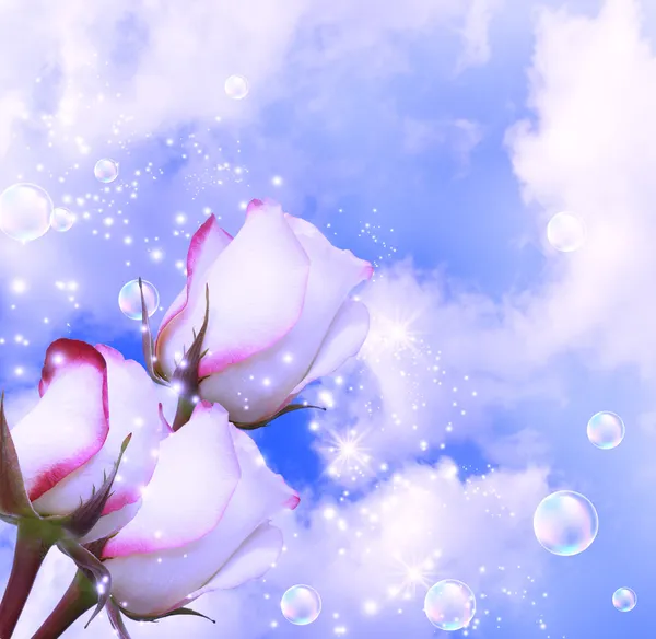 Roses and clouds — Stock Photo, Image