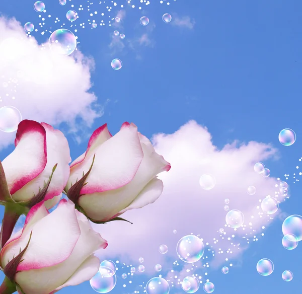Розы и пузыри — стоковое фото