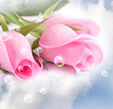 Pink roses in the clouds clipart