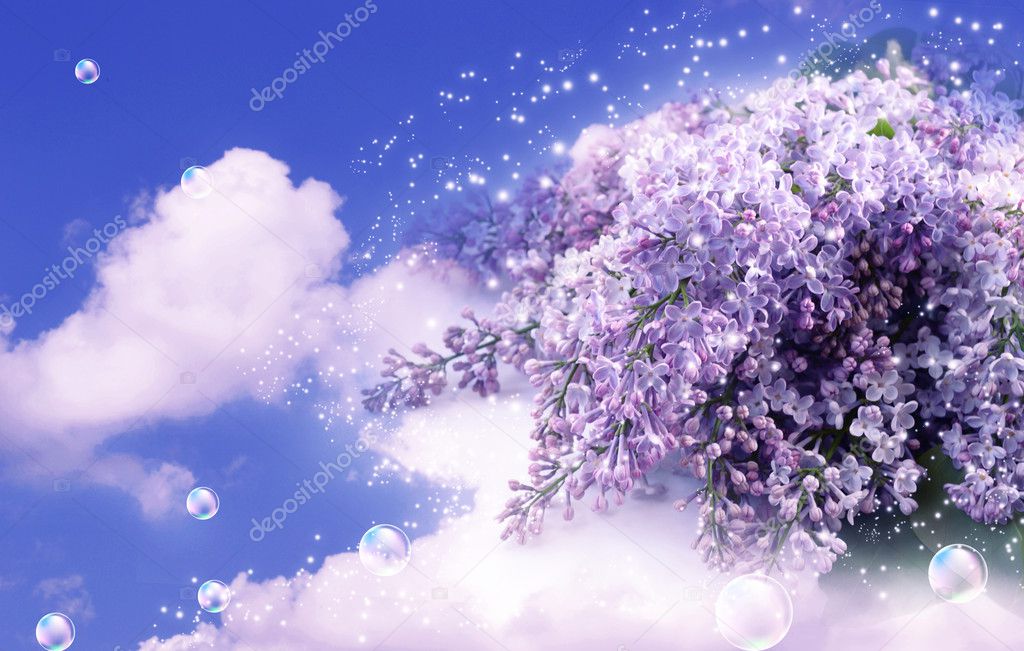 Lilac in the clouds