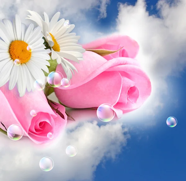 Rosas rosadas y manzanillas en las nubes —  Fotos de Stock