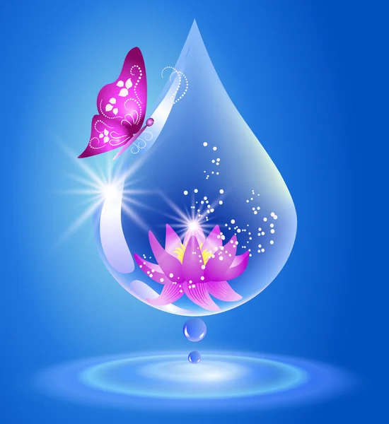 Drop and lily. — Stock Vector