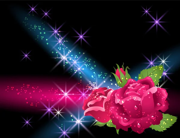 Roses and stars — Stock Vector