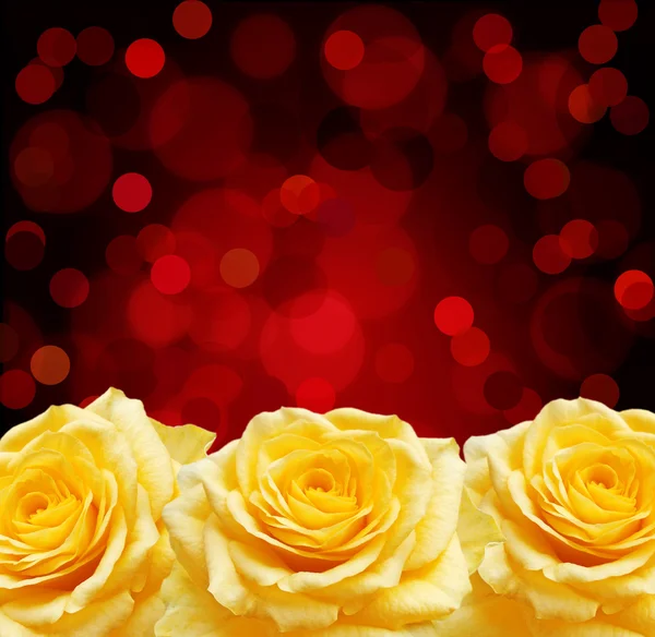 장미와 빨간 노 — 스톡 사진