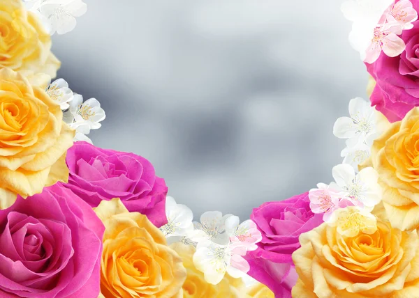 Розы и белые цветы — стоковое фото