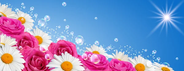 Flowers banner — Stock Photo, Image