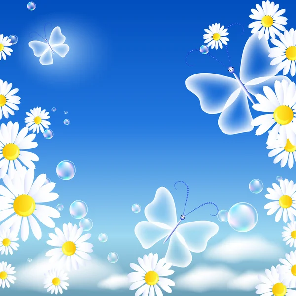Daisy and butterflies — Stock Vector