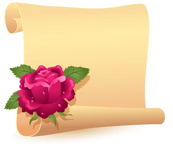 Rolled parchment and rose — Stock Vector