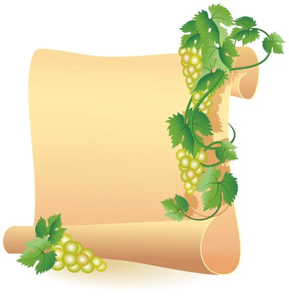 Stock vector Parchment for your text and grapes