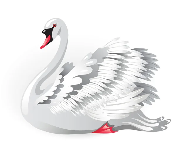 Cisne blanco — Archivo Imágenes Vectoriales