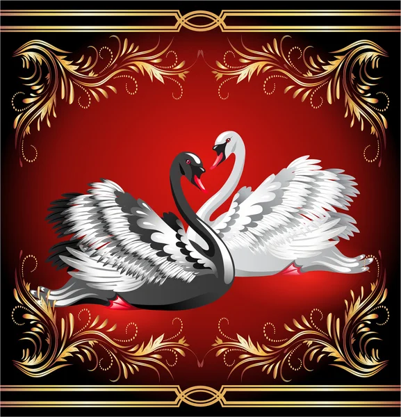 White and black swan on red background — Stock Vector