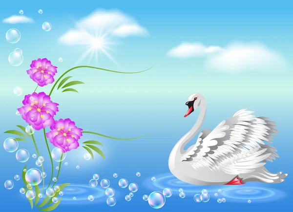 Swan és virágok — Stock Vector