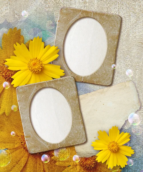 Grunge frame met daisy en papier — Stockfoto