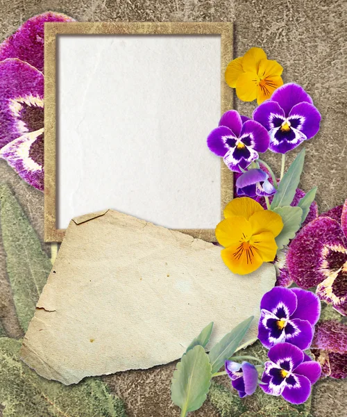 Grunge frame met viooltje en papier — Stockfoto