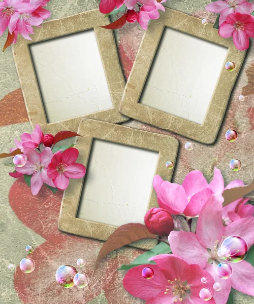 Grunge frame with cherry and paper — Stock Photo, Image