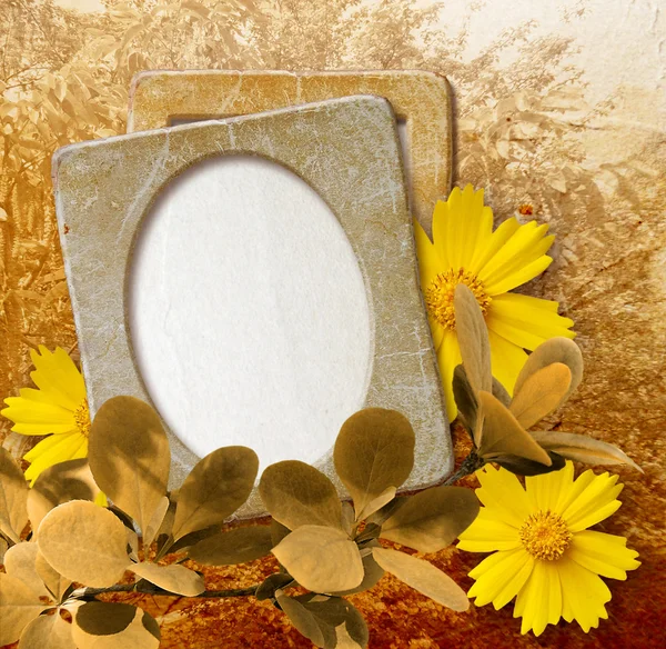 Grunge frame with daisy against park — Stock Photo, Image