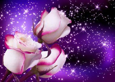 Картина, постер, плакат, фотообои "розы и звезды постеры одуванчики тюльпаны ромашки", артикул 9461547