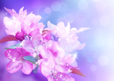 Cherry blossom clipart