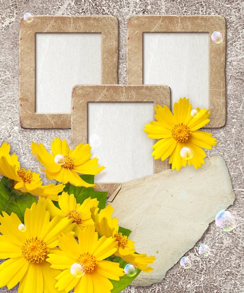 Grunge frame with daisy and paper — Stock Photo, Image