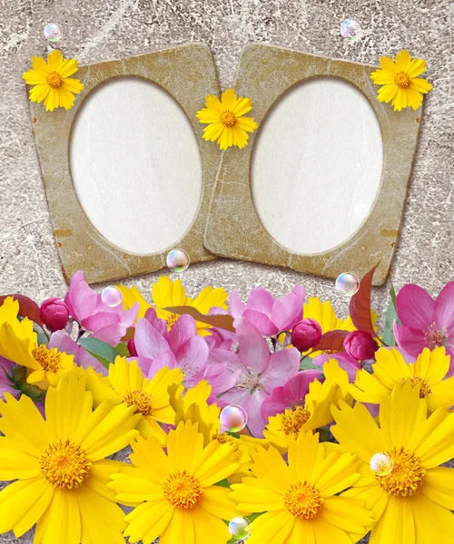 Grunge frame met daisy en papier — Stockfoto