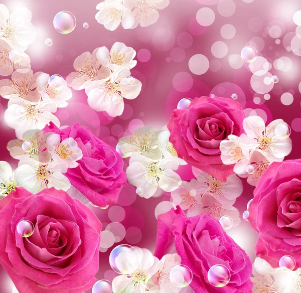 Rosor och apple blommor — Stockfoto
