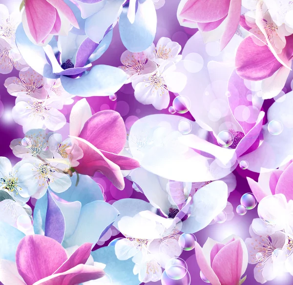 Kwiaty magnolii i jabłko — Zdjęcie stockowe