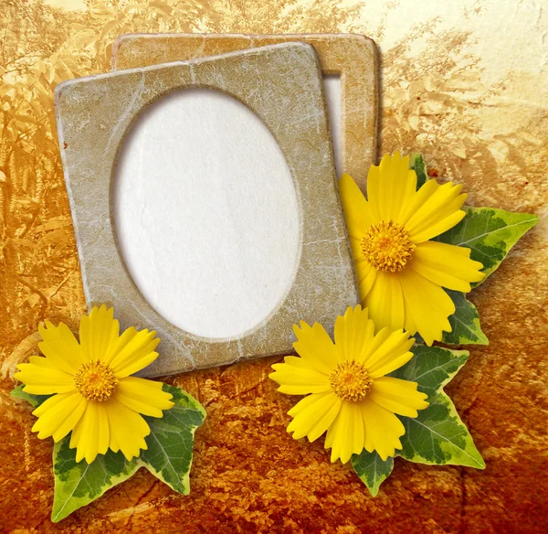 Grunge frame with daisy against park — Stock Photo, Image