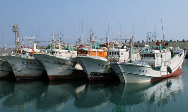 balıkçı tekneleri limanda