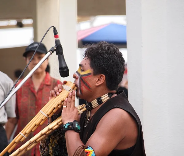 Güney Amerikan sokak müzisyeni — Stok fotoğraf