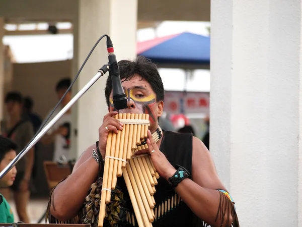 Musicien de rue sud-américain — Photo